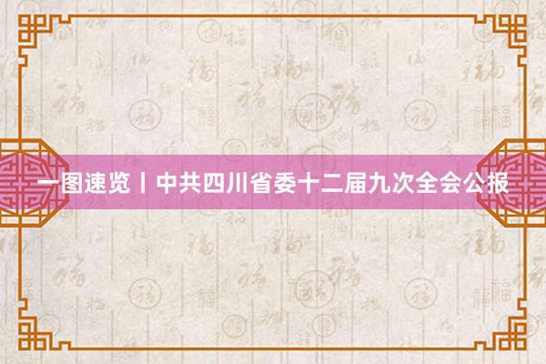 一图速览丨中共四川省委十二届九次全会公报