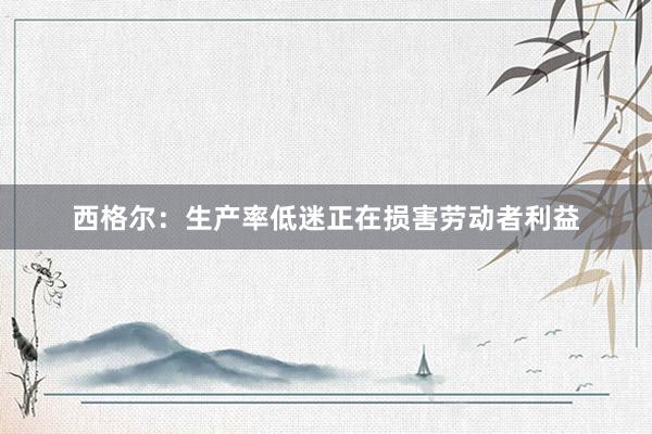 西格尔：生产率低迷正在损害劳动者利益