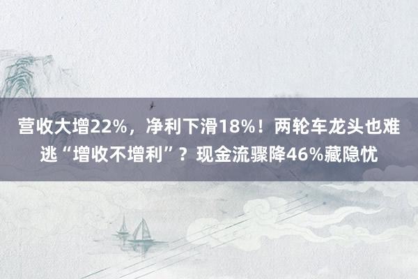 营收大增22%，净利下滑18%！两轮车龙头也难逃“增收不增利”？现金流骤降46%藏隐忧