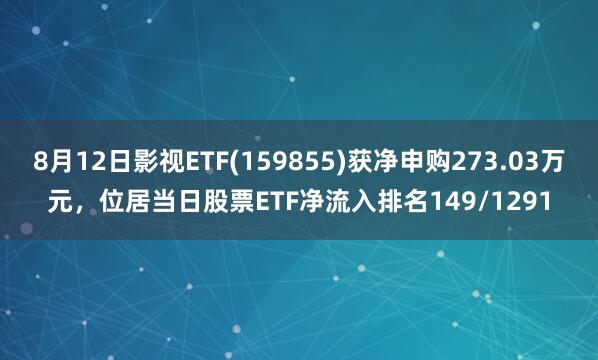 8月12日影视ETF(159855)获净申购273.03万元，位居当日股票ETF净流入排名149/1291