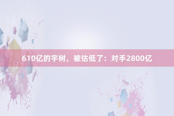 610亿的宇树，被估低了：对手2800亿