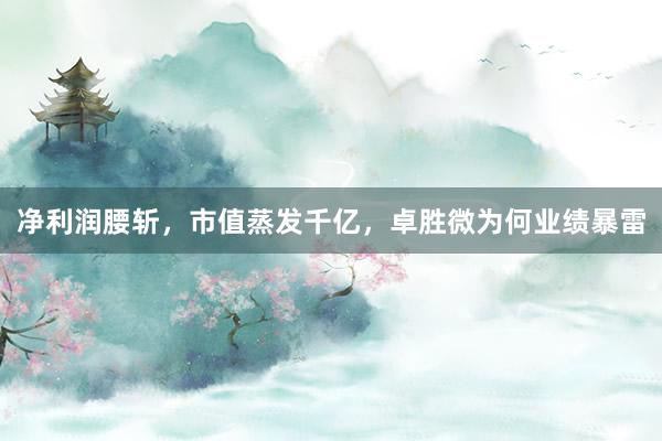 净利润腰斩，市值蒸发千亿，卓胜微为何业绩暴雷