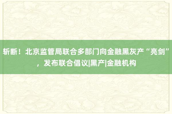 斩断！北京监管局联合多部门向金融黑灰产“亮剑”，发布联合倡议|黑产|金融机构