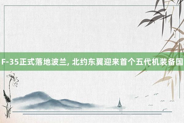 F-35正式落地波兰, 北约东翼迎来首个五代机装备国