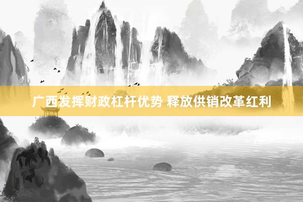 广西发挥财政杠杆优势 释放供销改革红利