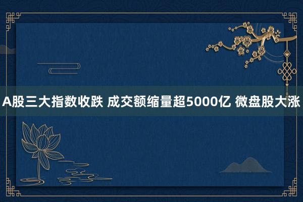 A股三大指数收跌 成交额缩量超5000亿 微盘股大涨