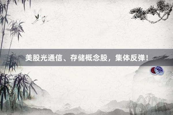 美股光通信、存储概念股，集体反弹！