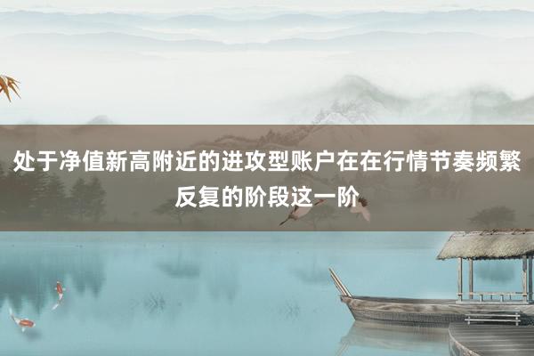 处于净值新高附近的进攻型账户在在行情节奏频繁反复的阶段这一阶
