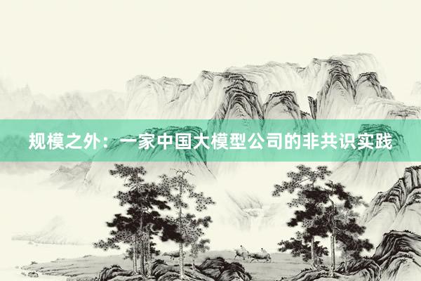 规模之外：一家中国大模型公司的非共识实践