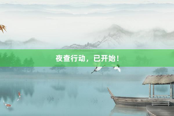 夜查行动，已开始！