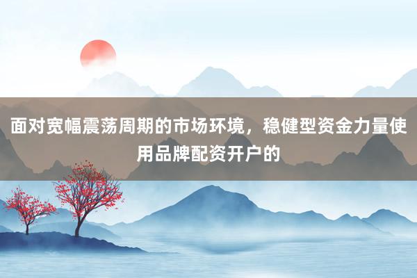 面对宽幅震荡周期的市场环境，稳健型资金力量使用品牌配资开户的