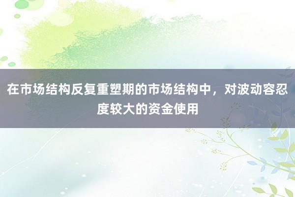 在市场结构反复重塑期的市场结构中，对波动容忍度较大的资金使用