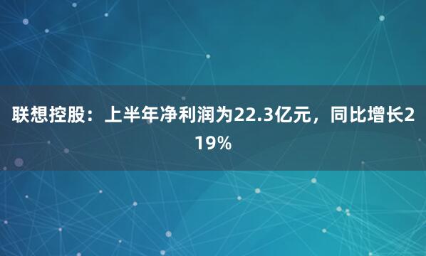 联想控股：上半年净利润为22.3亿元，同比增长219%