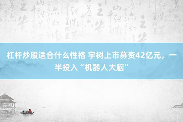杠杆炒股适合什么性格 宇树上市募资42亿元，一半投入“机器人大脑”