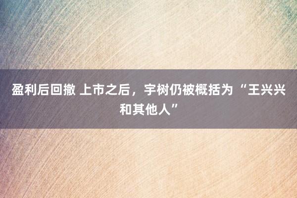 盈利后回撤 上市之后，宇树仍被概括为 “王兴兴和其他人”