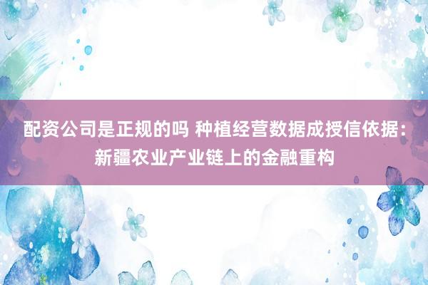 配资公司是正规的吗 种植经营数据成授信依据：新疆农业产业链上的金融重构
