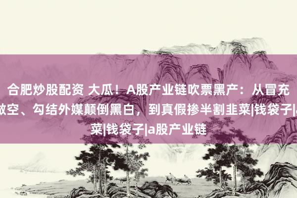 合肥炒股配资 大瓜！A股产业链吹票黑产：从冒充海外专家做空、勾结外媒颠倒黑白，到真假掺半割韭菜|钱袋子|a股产业链
