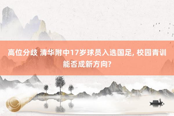 高位分歧 清华附中17岁球员入选国足, 校园青训能否成新方向?