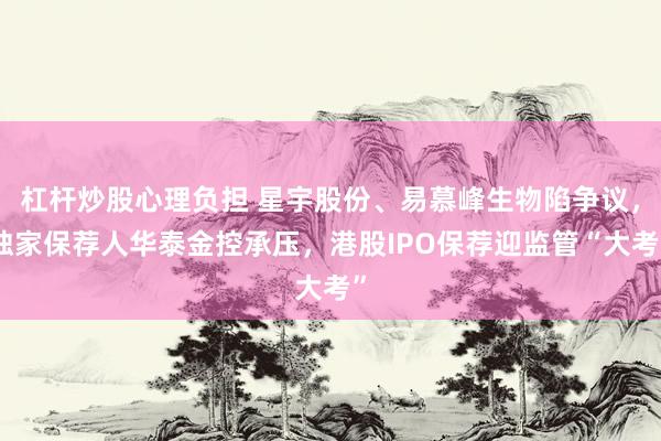 杠杆炒股心理负担 星宇股份、易慕峰生物陷争议，独家保荐人华泰金控承压，港股IPO保荐迎监管“大考”