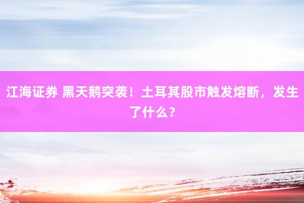 江海证券 黑天鹅突袭！土耳其股市触发熔断，发生了什么？