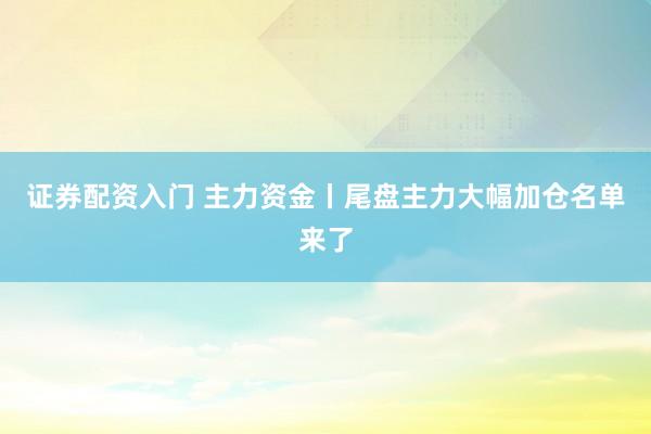 证券配资入门 主力资金丨尾盘主力大幅加仓名单来了