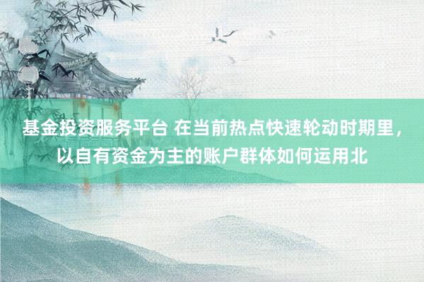 基金投资服务平台 在当前热点快速轮动时期里，以自有资金为主的账户群体如何运用北