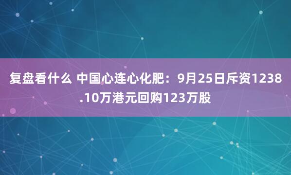 复盘看什么 中国心连心化肥：9月25日斥资1238.10万港元回购123万股