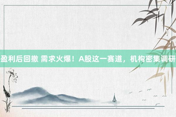 盈利后回撤 需求火爆！A股这一赛道，机构密集调研