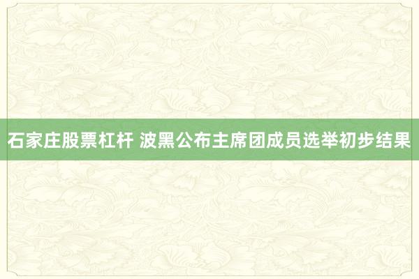 石家庄股票杠杆 波黑公布主席团成员选举初步结果