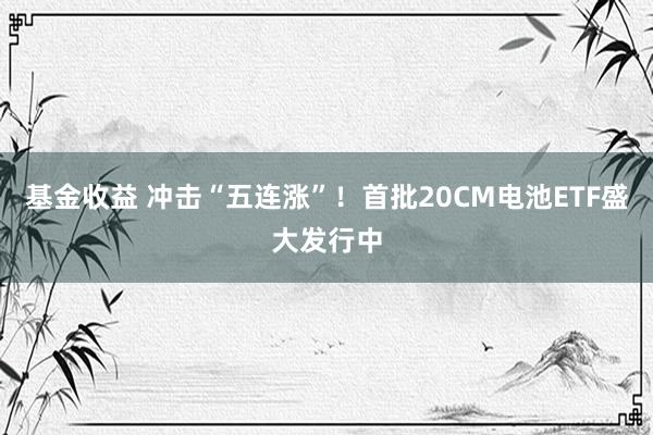 基金收益 冲击“五连涨”！首批20CM电池ETF盛大发行中
